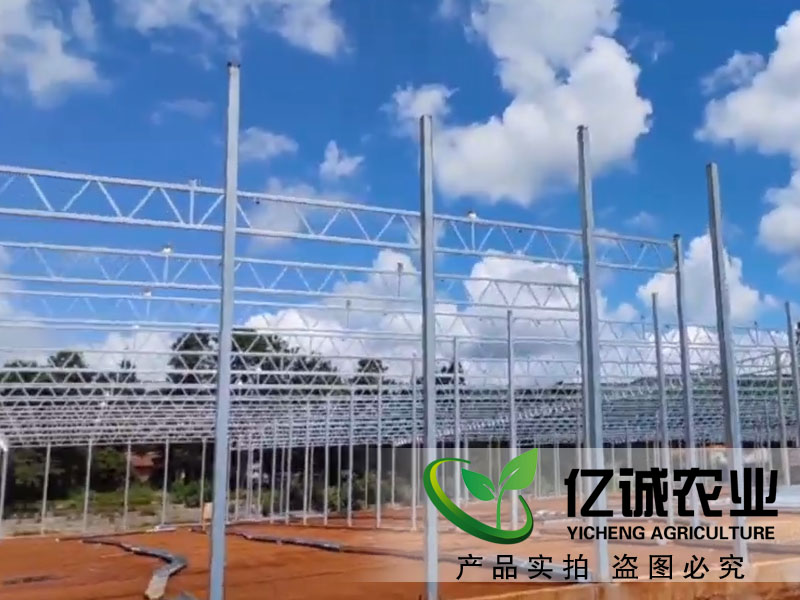 连栋玻璃温室大棚